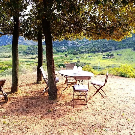 Lu Canali Vaccileddi